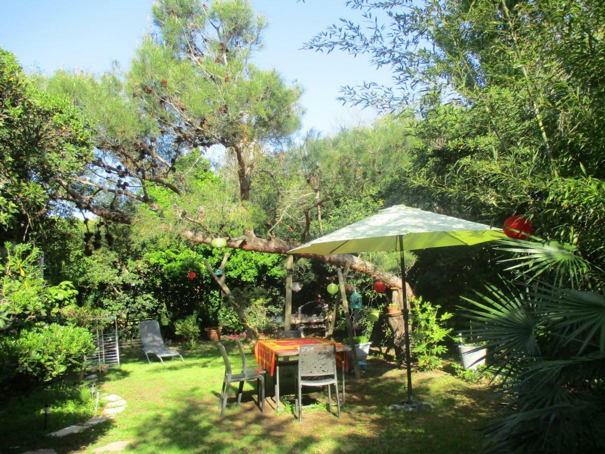 Jardin Et Bambous, Studio Cosy, Classe 2 Etoiles 马瑟伊兰 外观 照片