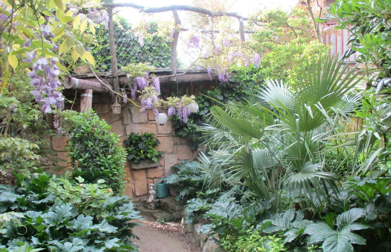 Jardin Et Bambous, Studio Cosy, Classe 2 Etoiles 马瑟伊兰 外观 照片