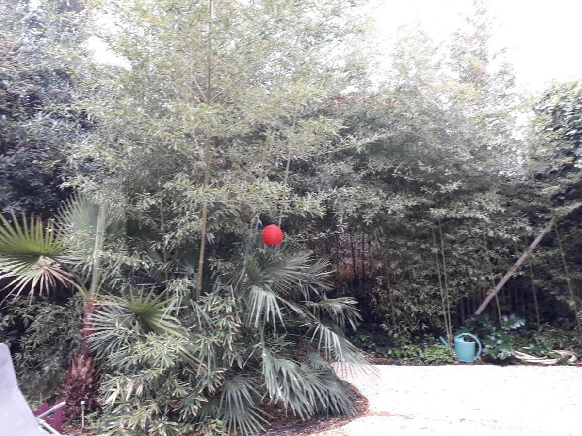 Jardin Et Bambous, Studio Cosy, Classe 2 Etoiles 马瑟伊兰 外观 照片