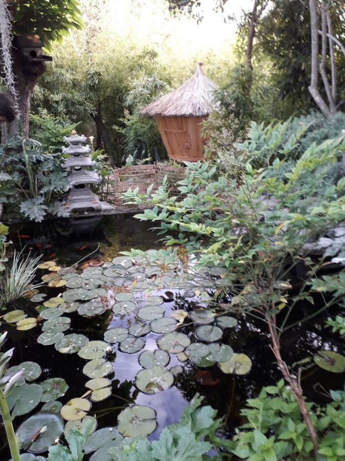Jardin Et Bambous, Studio Cosy, Classe 2 Etoiles 马瑟伊兰 外观 照片
